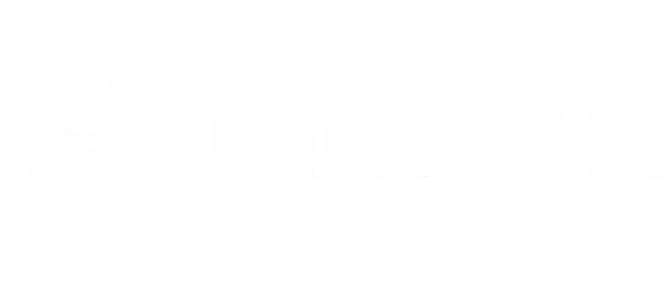 Flyzz